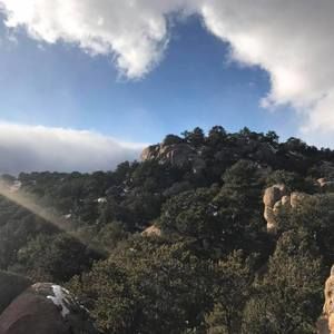 Meet your Posher, Jayden